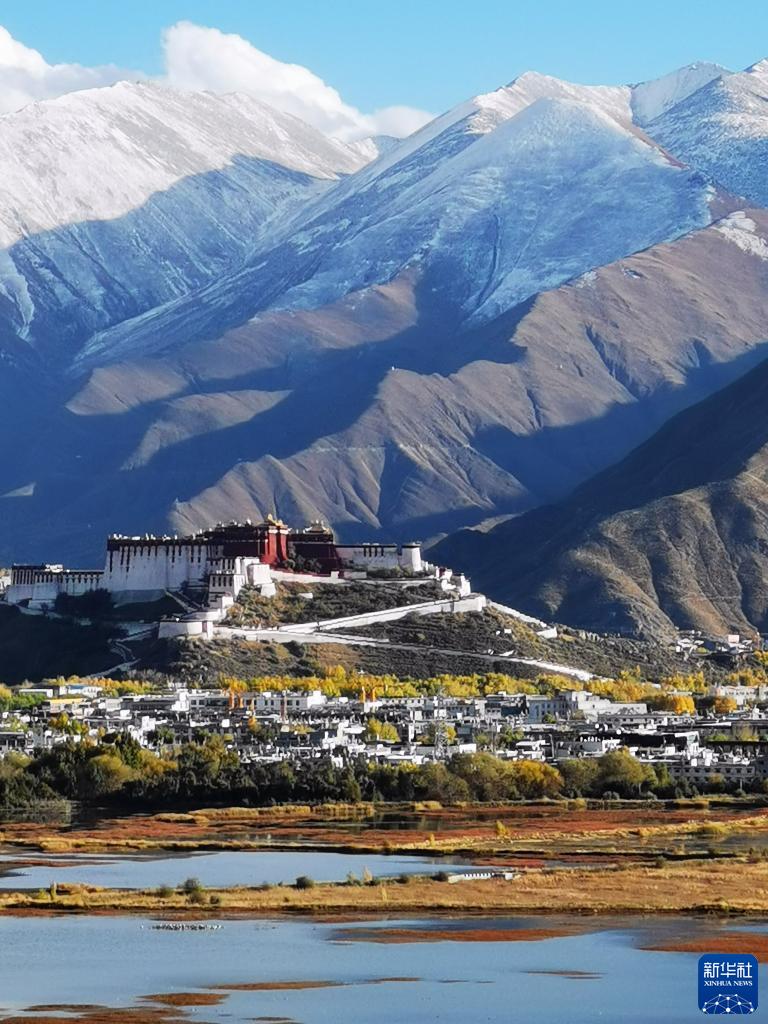 激战后厨1至5HD带你体验烹饪的巅峰对决 - 熊猫体育少儿体能培训