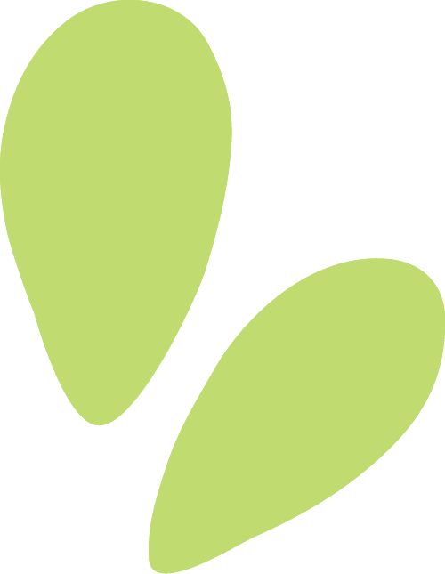 好消息！望京推出2025全能夏令营！(3)