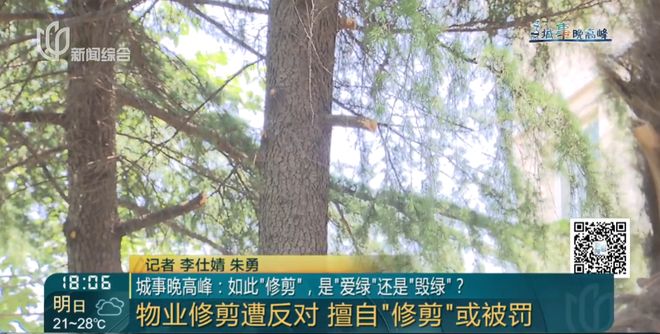 上海一小区20年香樟说砍就砍!八旬老爷叔:拿我怎么样?(9)